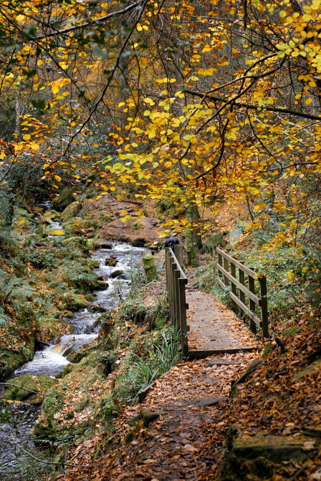 Wyming Brook Waterfalls Walk | 6 Miles | The Wandering Wildflower