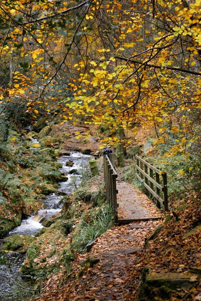 Wyming Brook Nature Reserve Walk - Waterfalls and Woodland