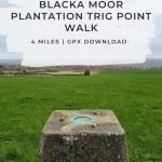 Pinterest Image for Blacka Moor Plantation Trig Point Walk from The Wandering Wildflower