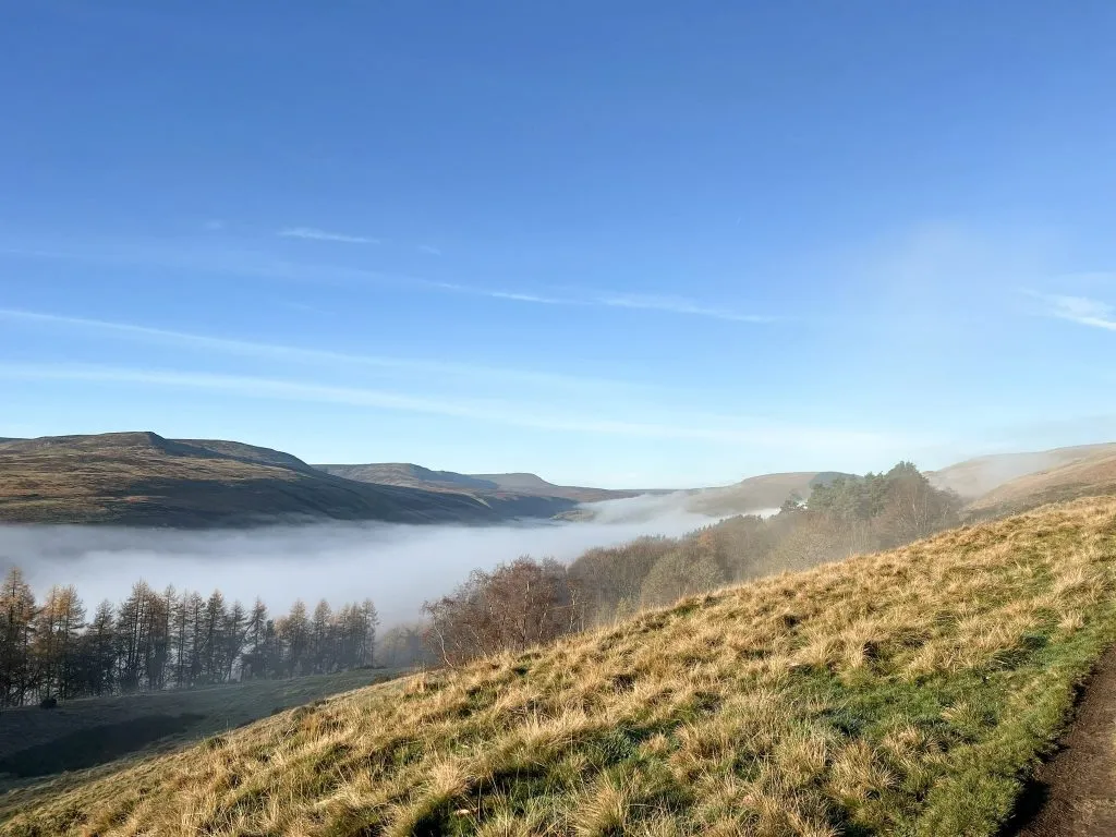 Cloud inversion over Snake Woodlands