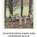 Pinterest image for Chatsworth House and Edensor Walk - The Wandering Wildflower