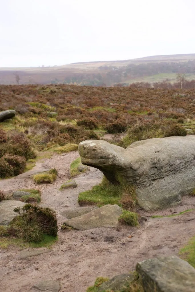 A rock formation that looks like a tortoise near Over Owler Tor