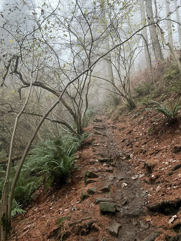 Steep track up Parkin Clough