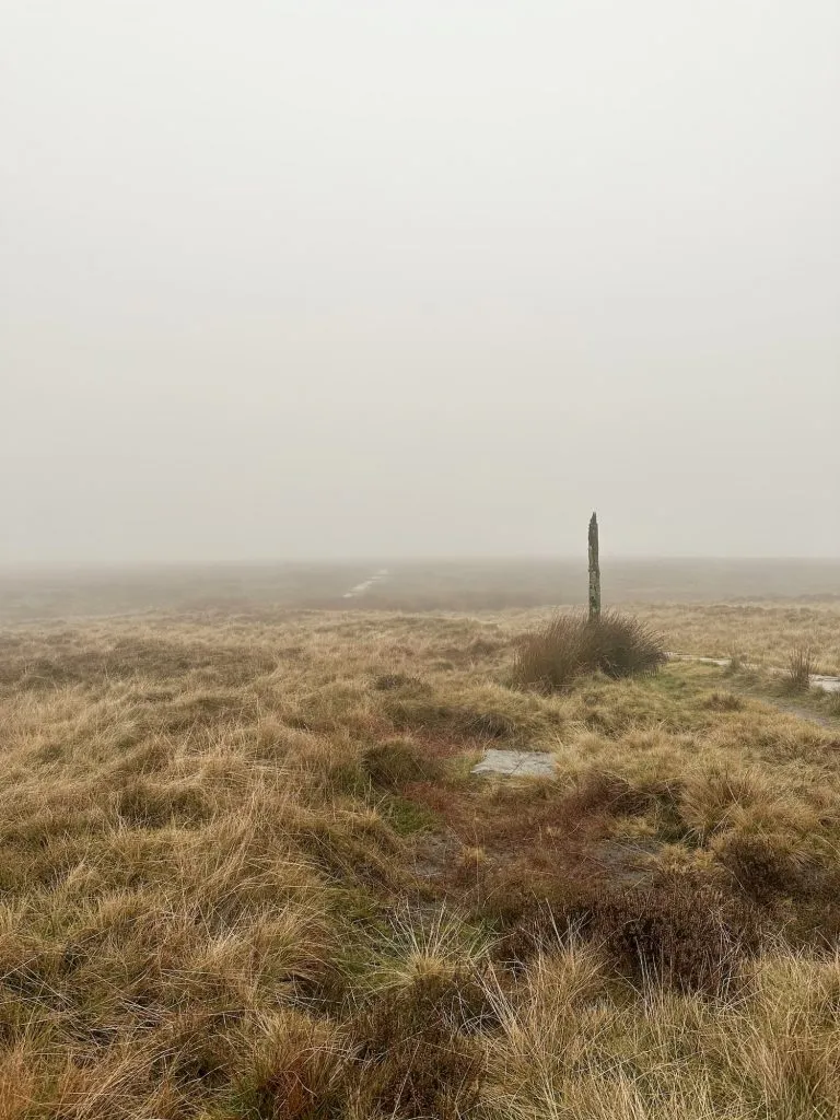 A wooden stake on a misty moor