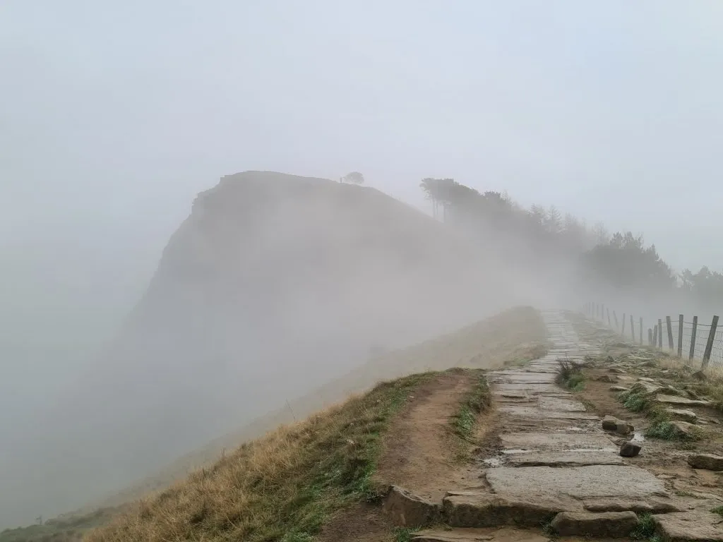 Back Tor in a cloud inversion