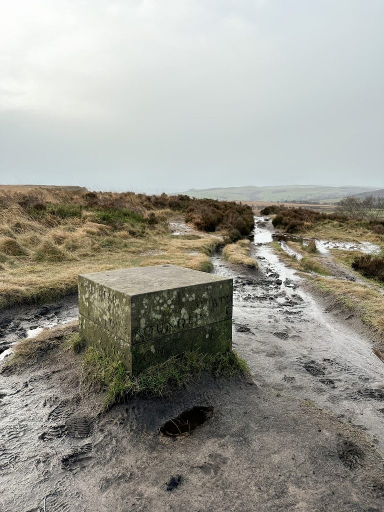 A Companion Stone on White Edge