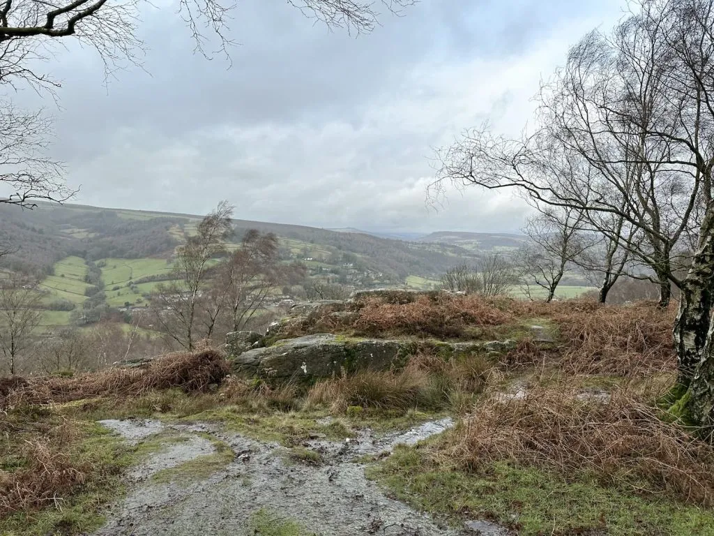 Some gritstone boulders on Froggatt Edge