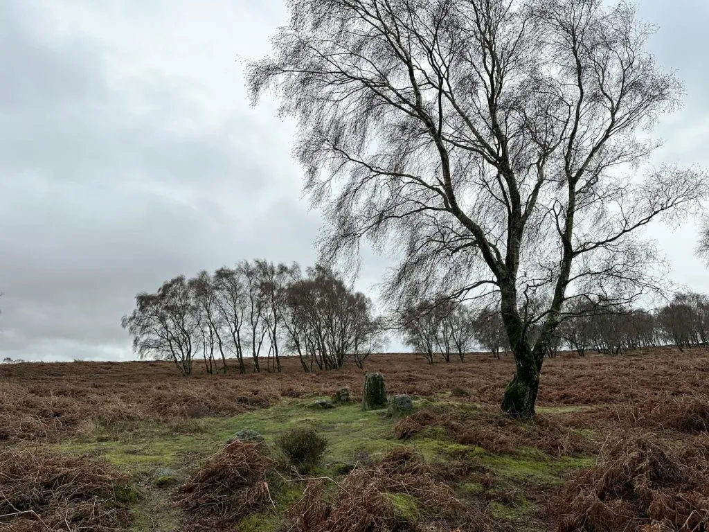 Froggatt Edge stone circle
