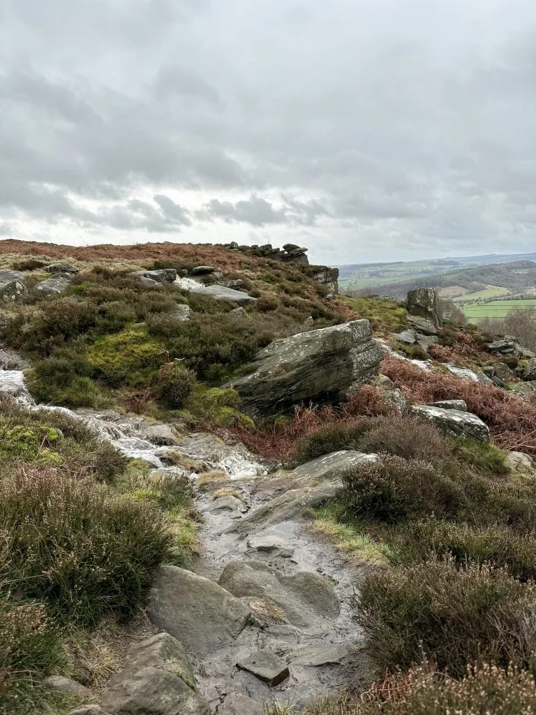 Gritstone outcrops on Froggatt Edge