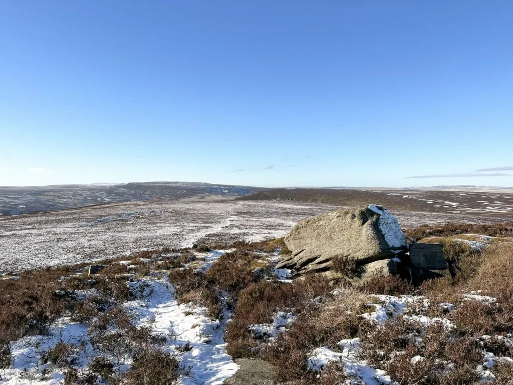 Howden Moors - The Wandering Wildflower