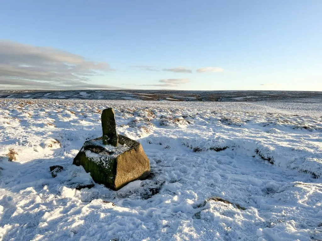 Lady Cross on the Langsett Moors - The Wandering Wildflower