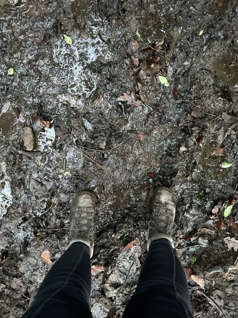 A very muddy path