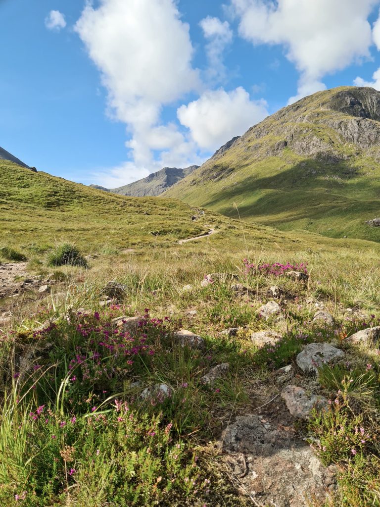 Late summer in Glencoe with heather 