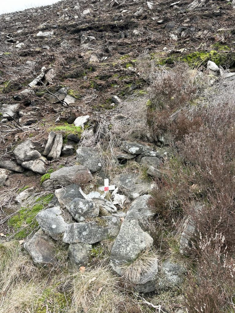 Crash Site of Hawker Hurricane on Tintwistle Knarr - The Wandering Wildflower