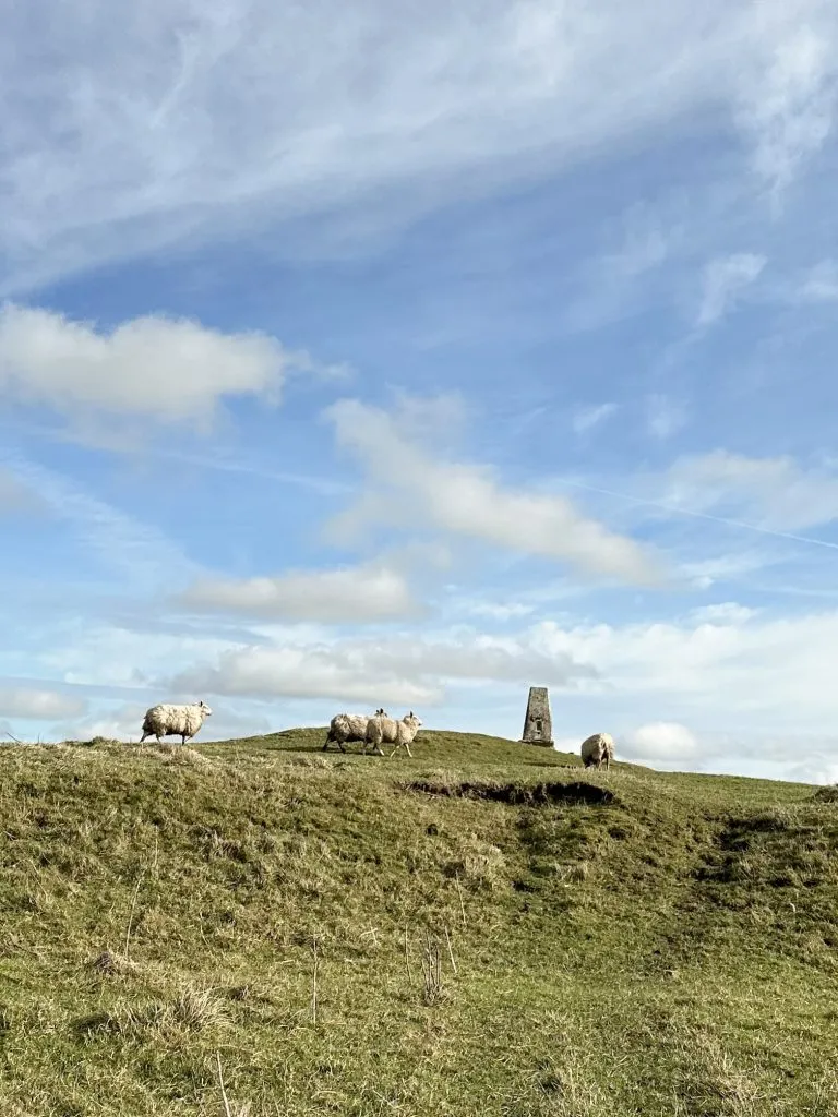Hill House trig point