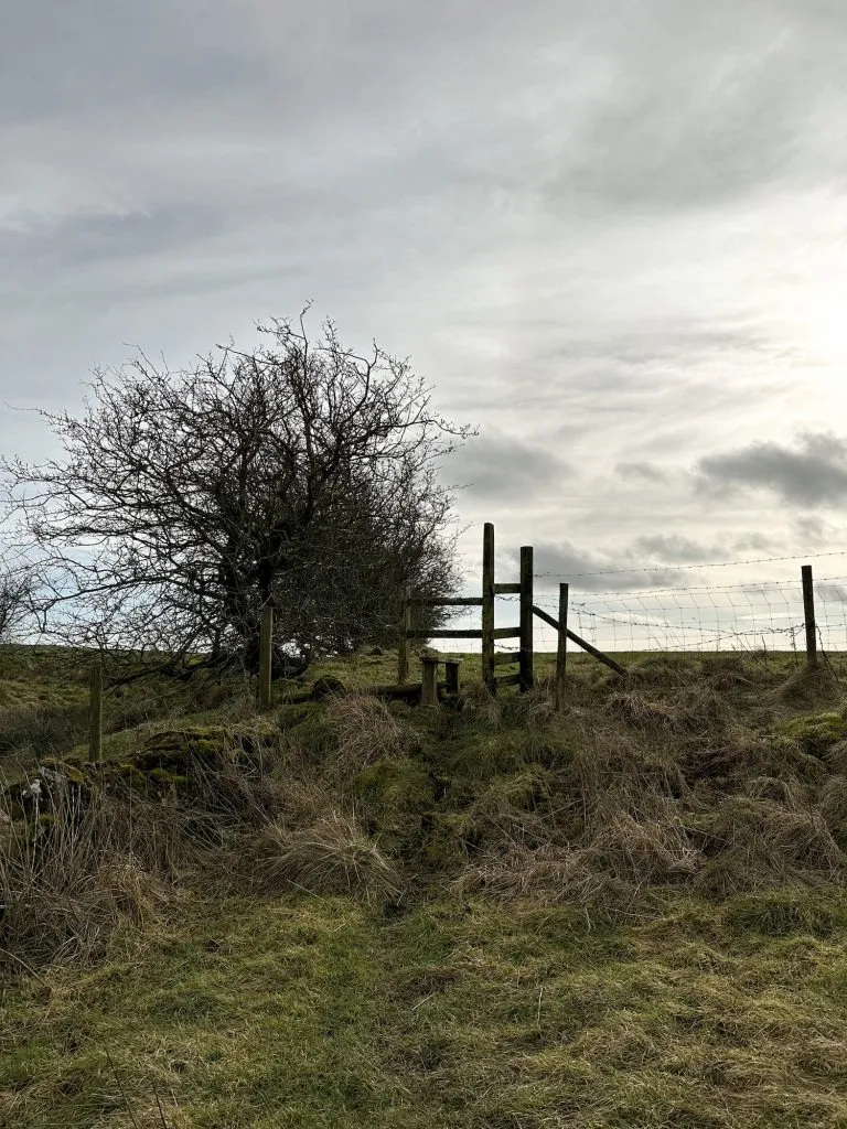 A wooden stile in a hedgerow in the Peak District