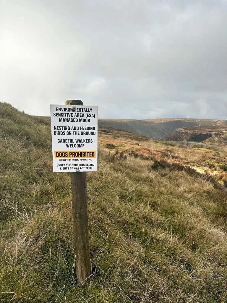 Views on the Trinnacle Trail