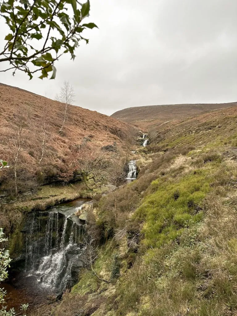 Tintwistle Seven Falls Walk - The Wandering Wildflower
