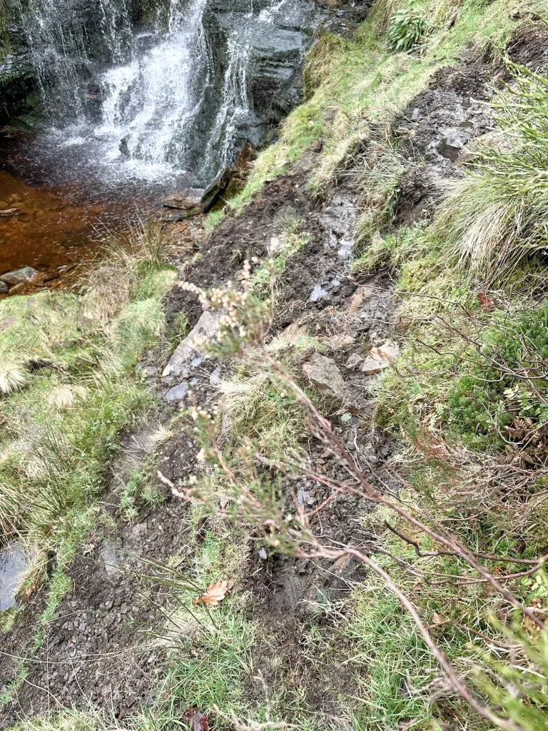 Tintwistle Seven Falls Walk - The Wandering Wildflower