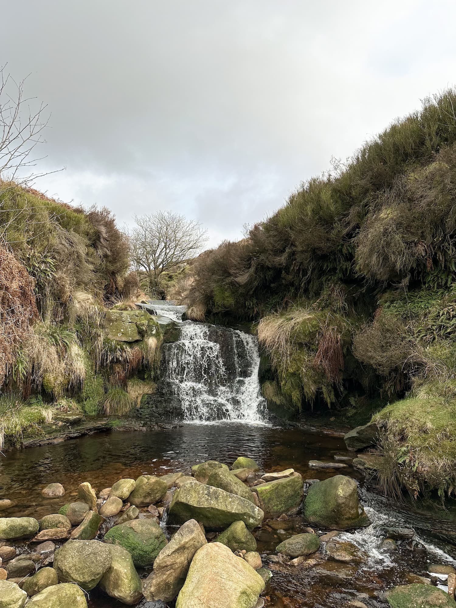 Tintwistle Seven Falls Short Walk | 3 Miles