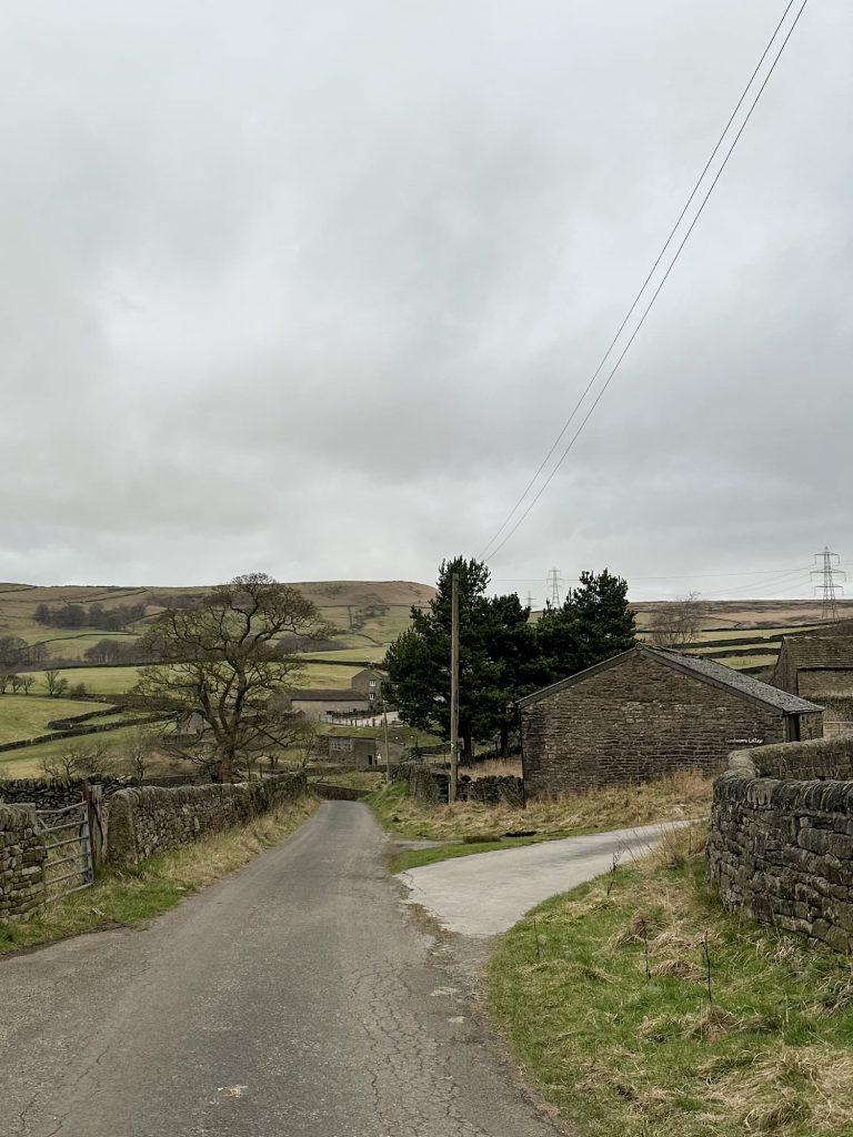 Tintwistle Seven Falls Walk - The Wandering Wildflower