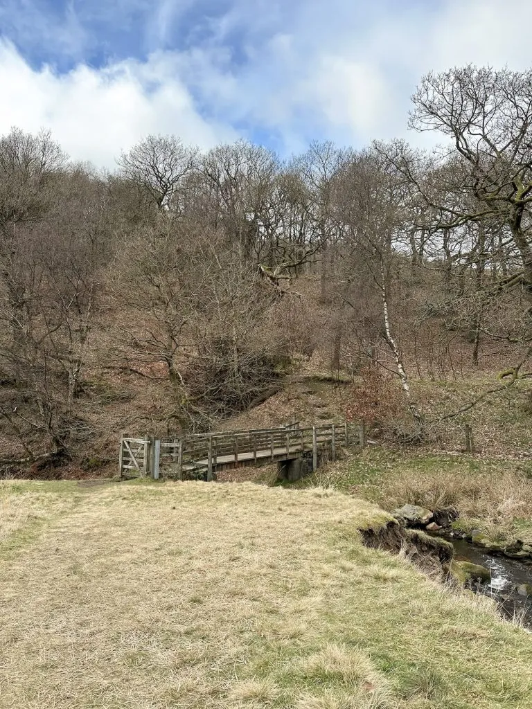 Devils Bridge, Swallows Wood