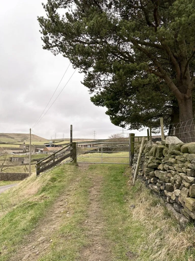 Tintwistle Seven Falls Walk - The Wandering Wildflower