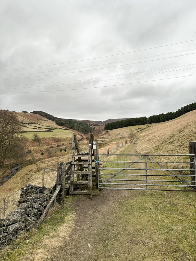 Tintwistle Seven Falls Walk - The Wandering Wildflower