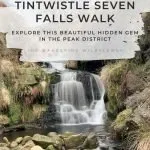 Pinterest Image for Tintwistle Seven Falls Walk - Hidden Peak District Waterfalls - The Wandering Wildflower