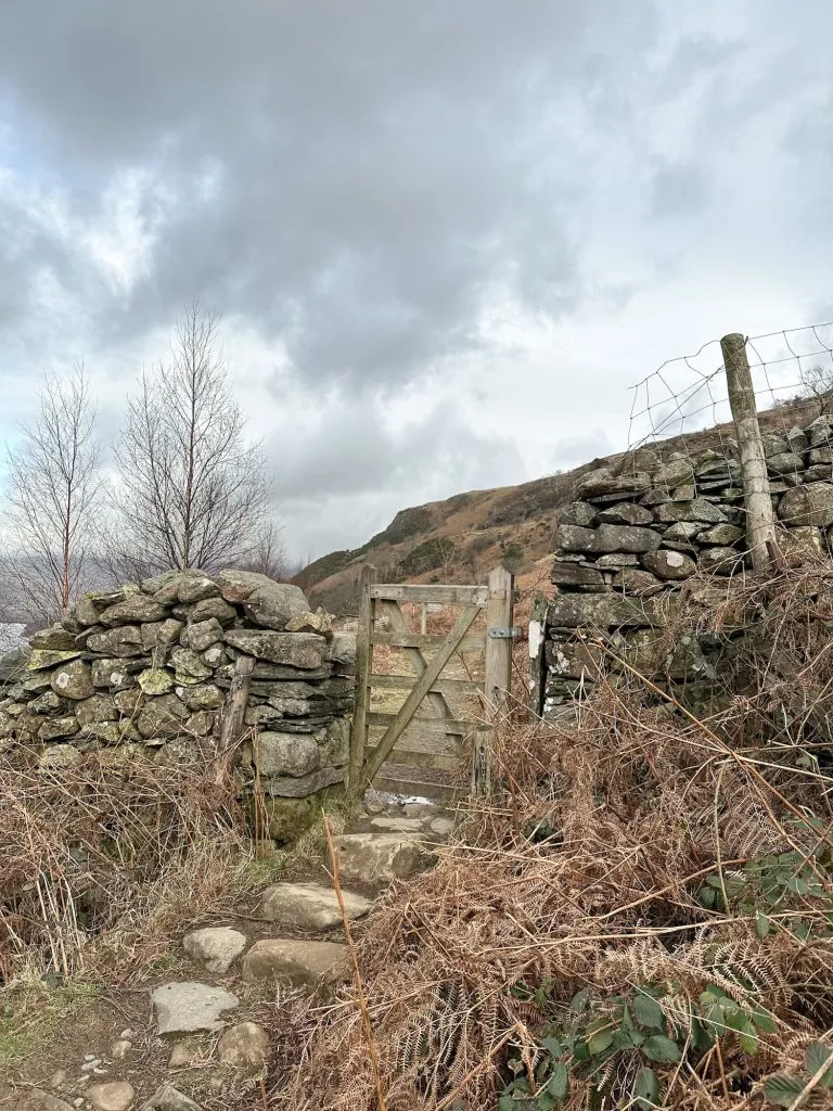 A wooden gate in a stone wall in the Lake District