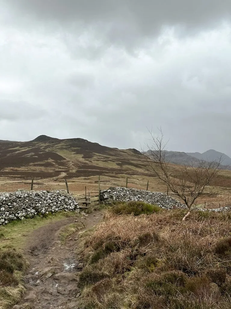 A view over to Bleaberry Fell from Walla Crag
