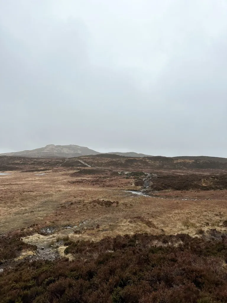 Bleaberry Fell as seen from the path to Walla Crag