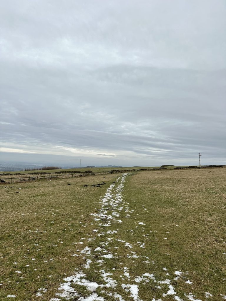 A snowy path across a field