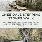Pinterest image for Chee Dale Stepping Stones walk from The Wandering Wildflower