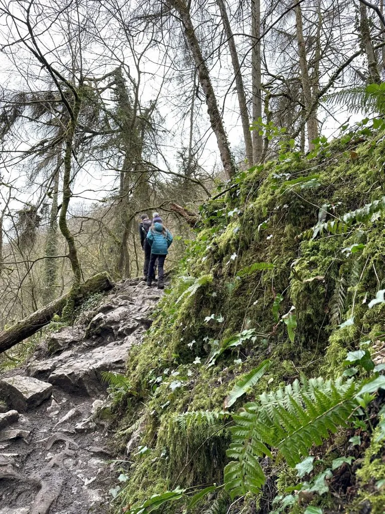 A man and his daughter walking through a lush woodland over some very uneven paths