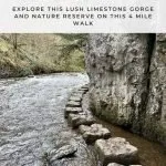 Pinterest image for Chee Dale Stepping Stones walk from The Wandering Wildflower