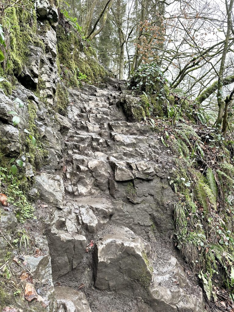 A scrambly limestone path