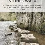 Pinterest image for Chee Dale Stepping Stones walk from The Wandering Wildflower
