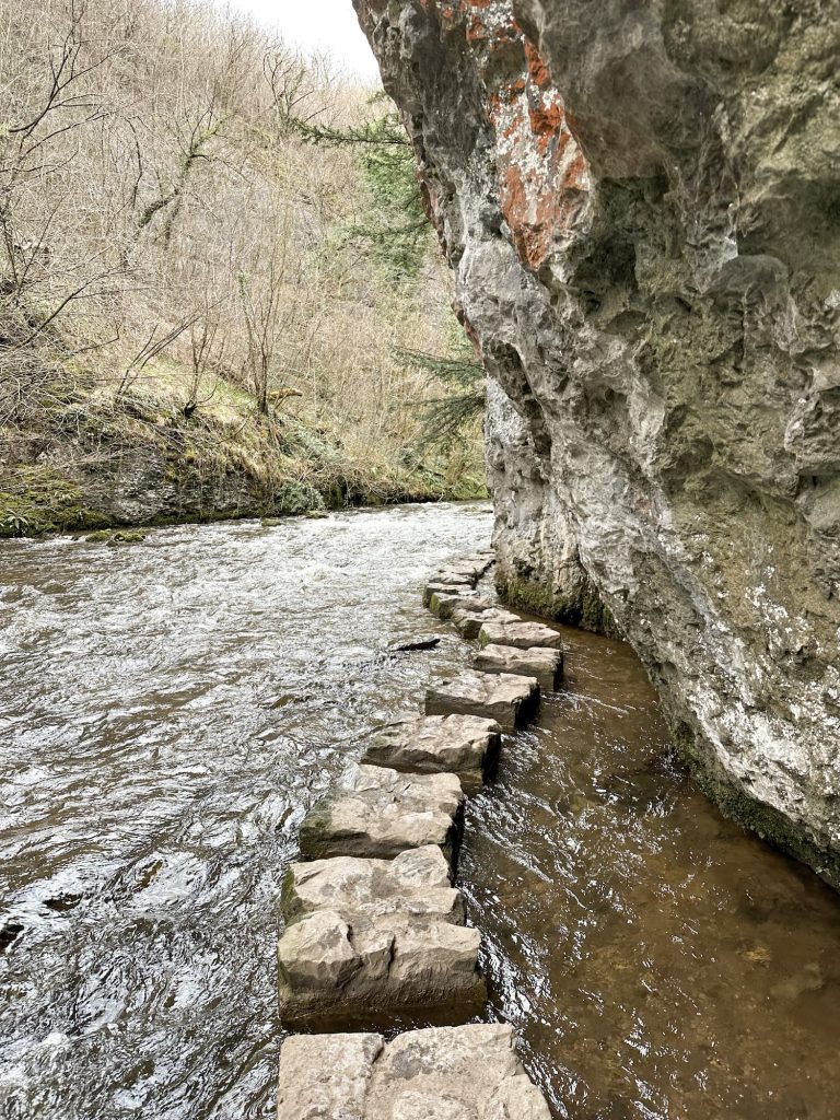 Chee Dale stepping stones