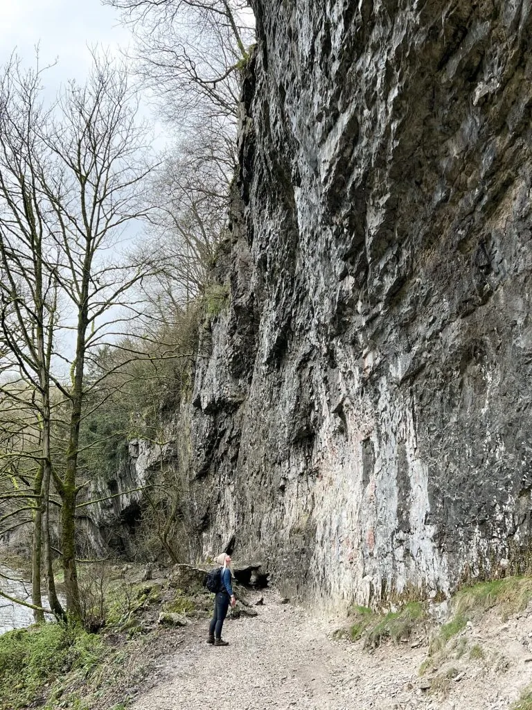 A woman looking up at towering limestone cliffs