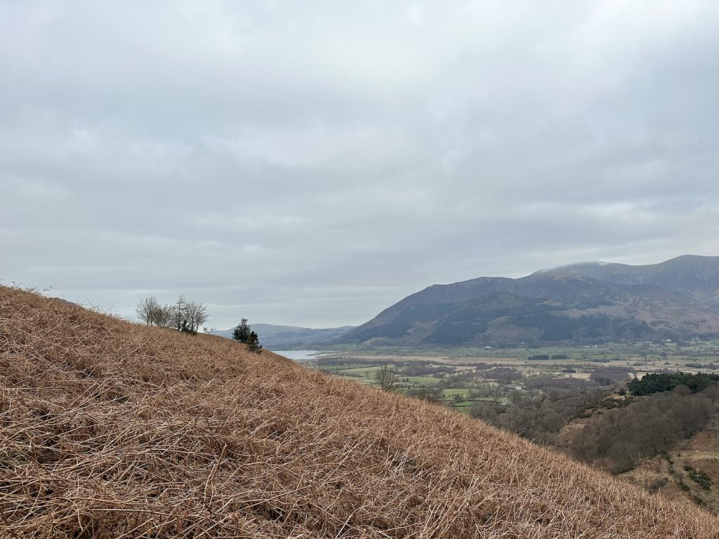 Looking over to Bassenthwaite from Kinn