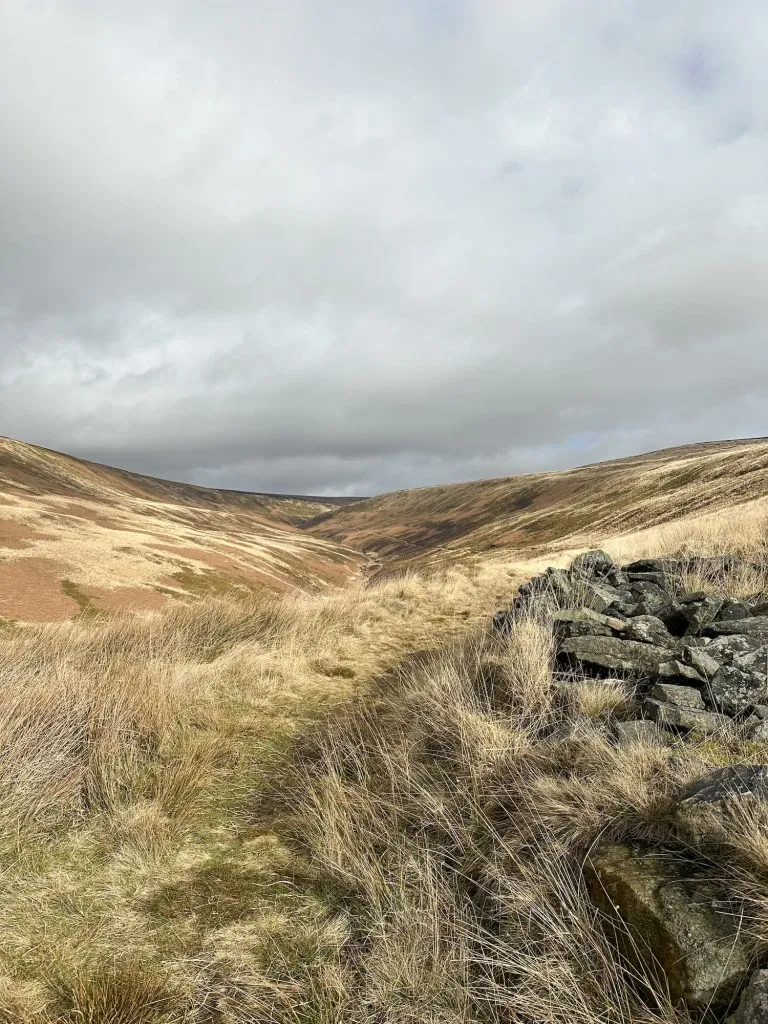 A view along a moorland valley