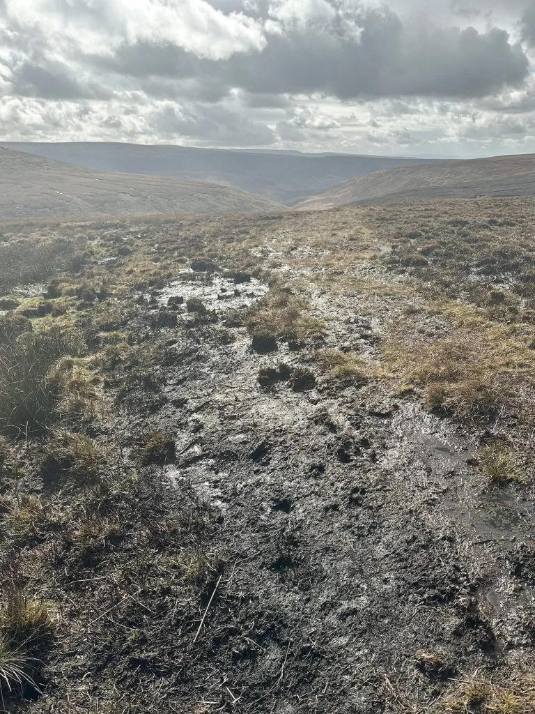 Extremely boggy peat moorland