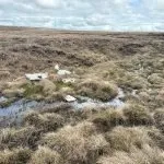 Remains of a WW2 plane on Sliddens Moss