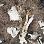 Remains of a WW2 plane on Sliddens Moss
