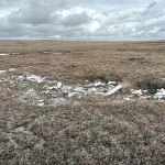 Remains of a WW2 plane on Sliddens Moss