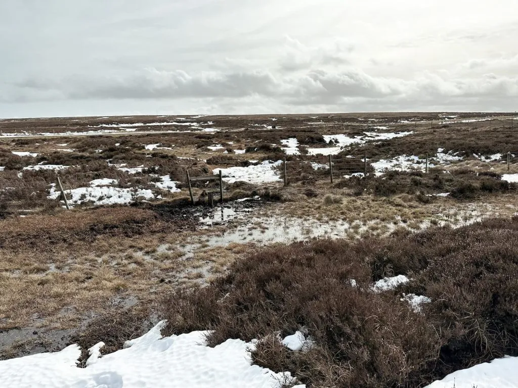 Boggy areas at West Nab