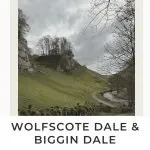 Pinterest image for Wolfscote Dale, Wolfscote Hill and Biggin Dale circular walk by The Wandering Wildflower