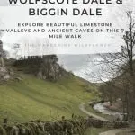 Pinterest image for Wolfscote Dale, Wolfscote Hill and Biggin Dale circular walk by The Wandering Wildflower