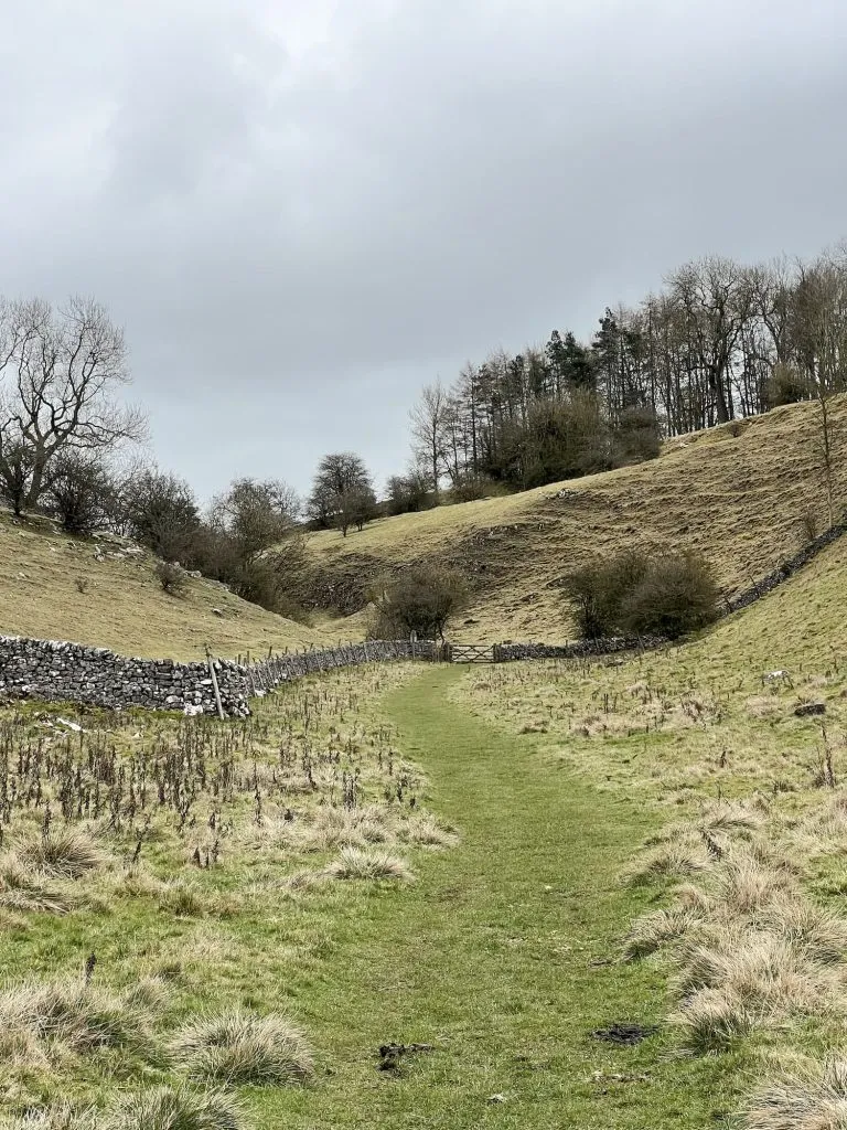 Biggin Dale, a grassy shallow valley